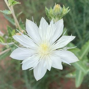 Meet your Posher, Mei